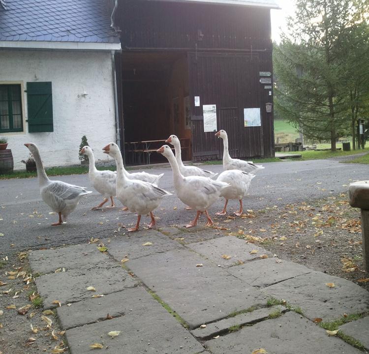 Altsachsischer Gasthof Kleines Vorwerk